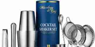 Professional Boston Cocktail Shaker Set You Can Buy in 2021